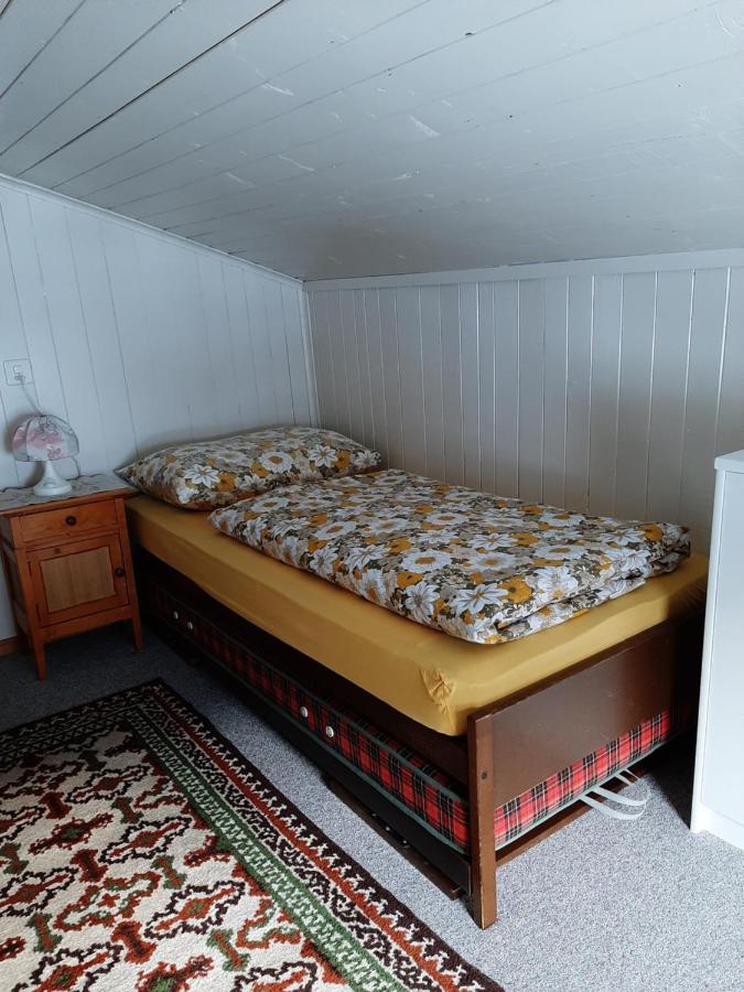 Appartement Casa Schuoler à Disentis Extérieur photo