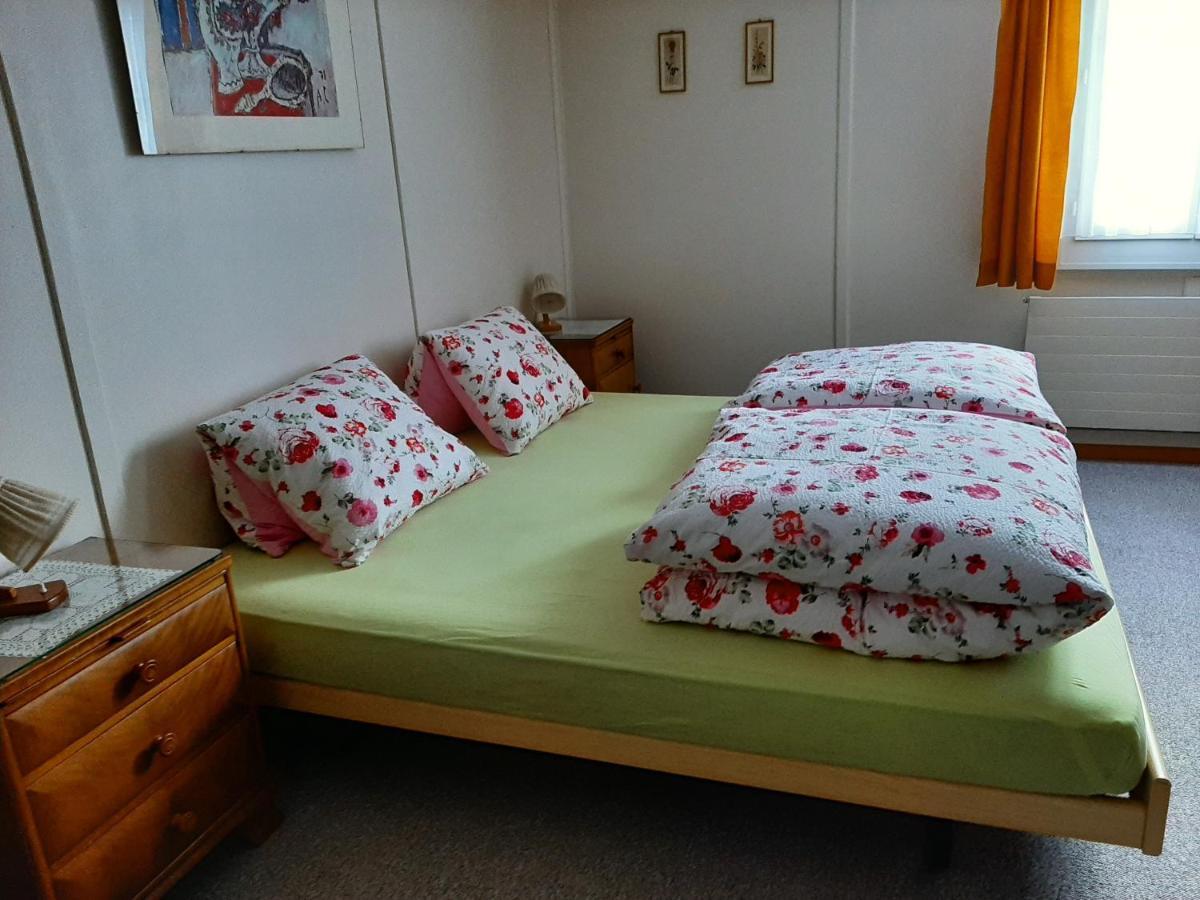 Appartement Casa Schuoler à Disentis Extérieur photo